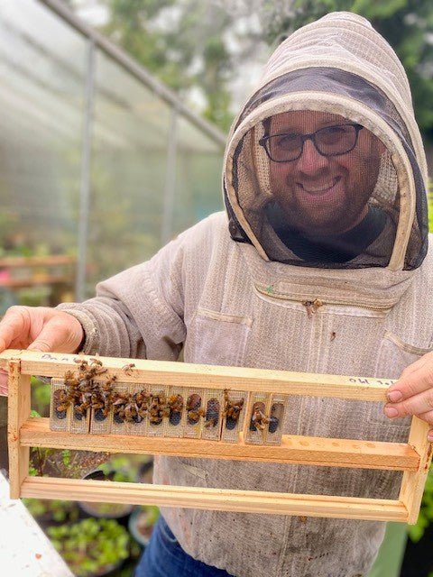 We're Hiring a Beekeeper!