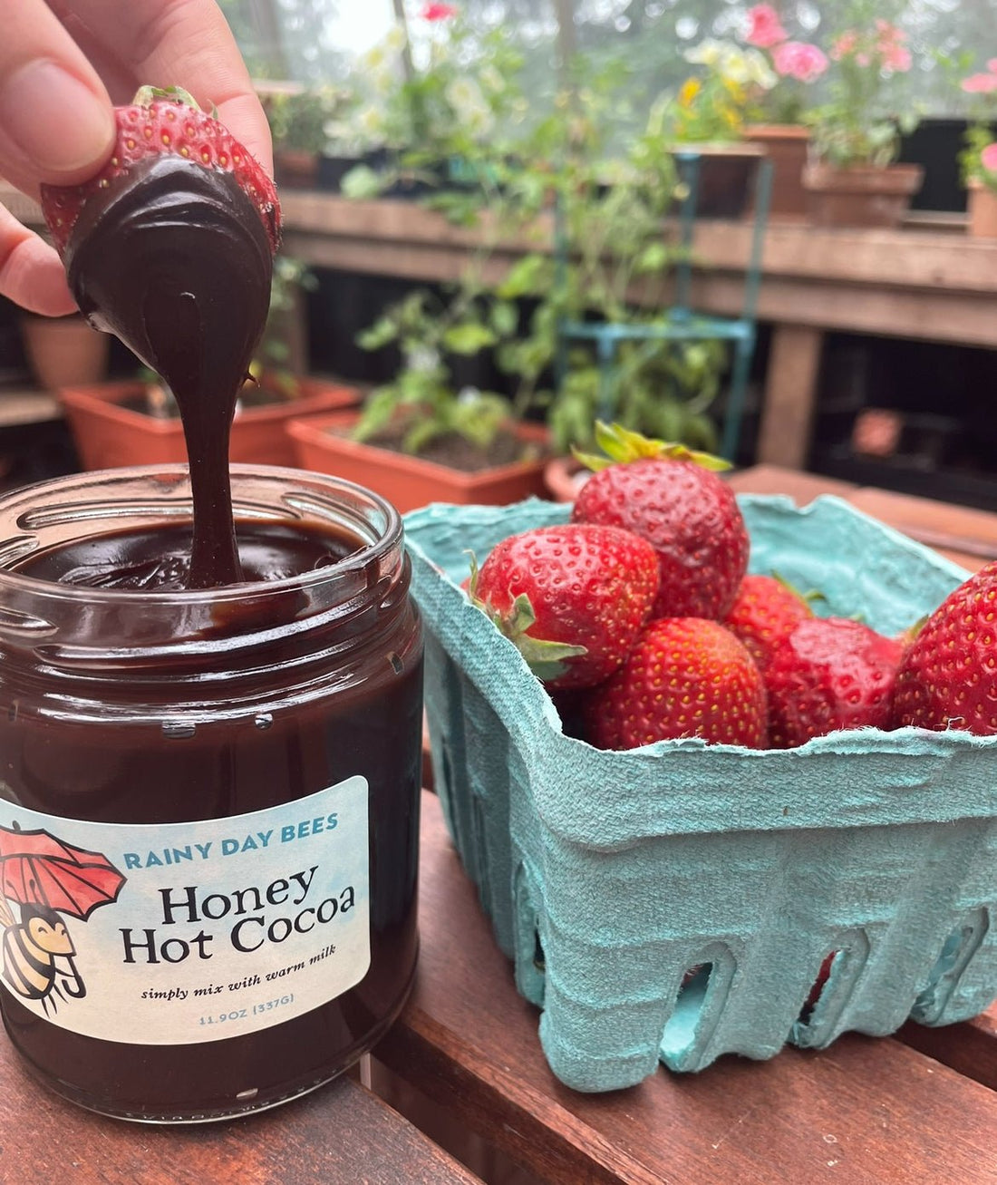 Honey chocolate covered strawberry