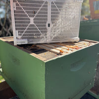 Package Bees - (2025)