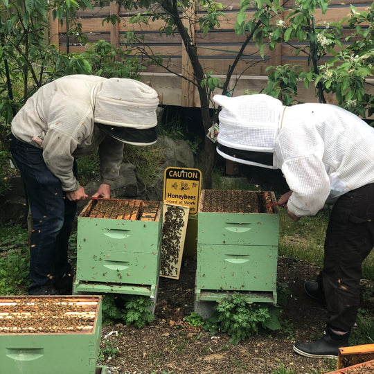 Full-time Beekeeping