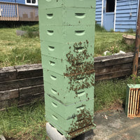 Rainy Day Bees Summer Nucleus Hive