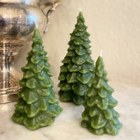 Beeswax Tree Candle