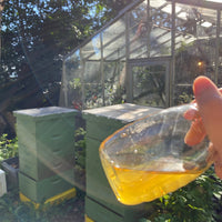 North City Neighborhood Honey