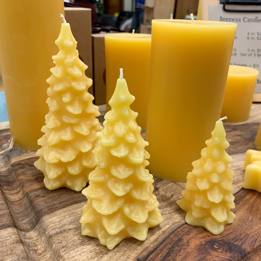 Beeswax Tree Candle