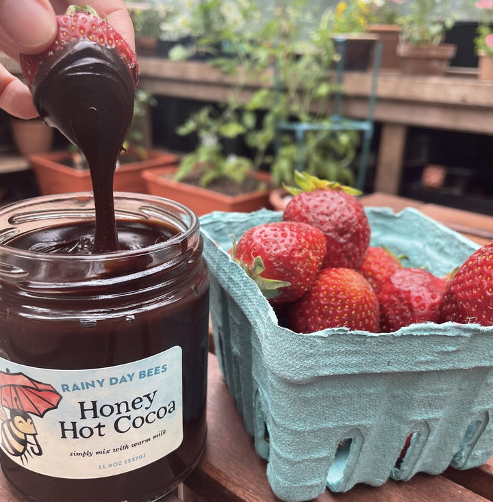 Chocolate Covered Strawberry with Honey Hot Cocoa