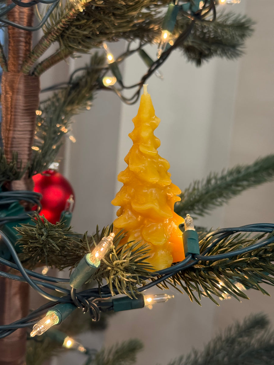 Beeswax Tree Candle
