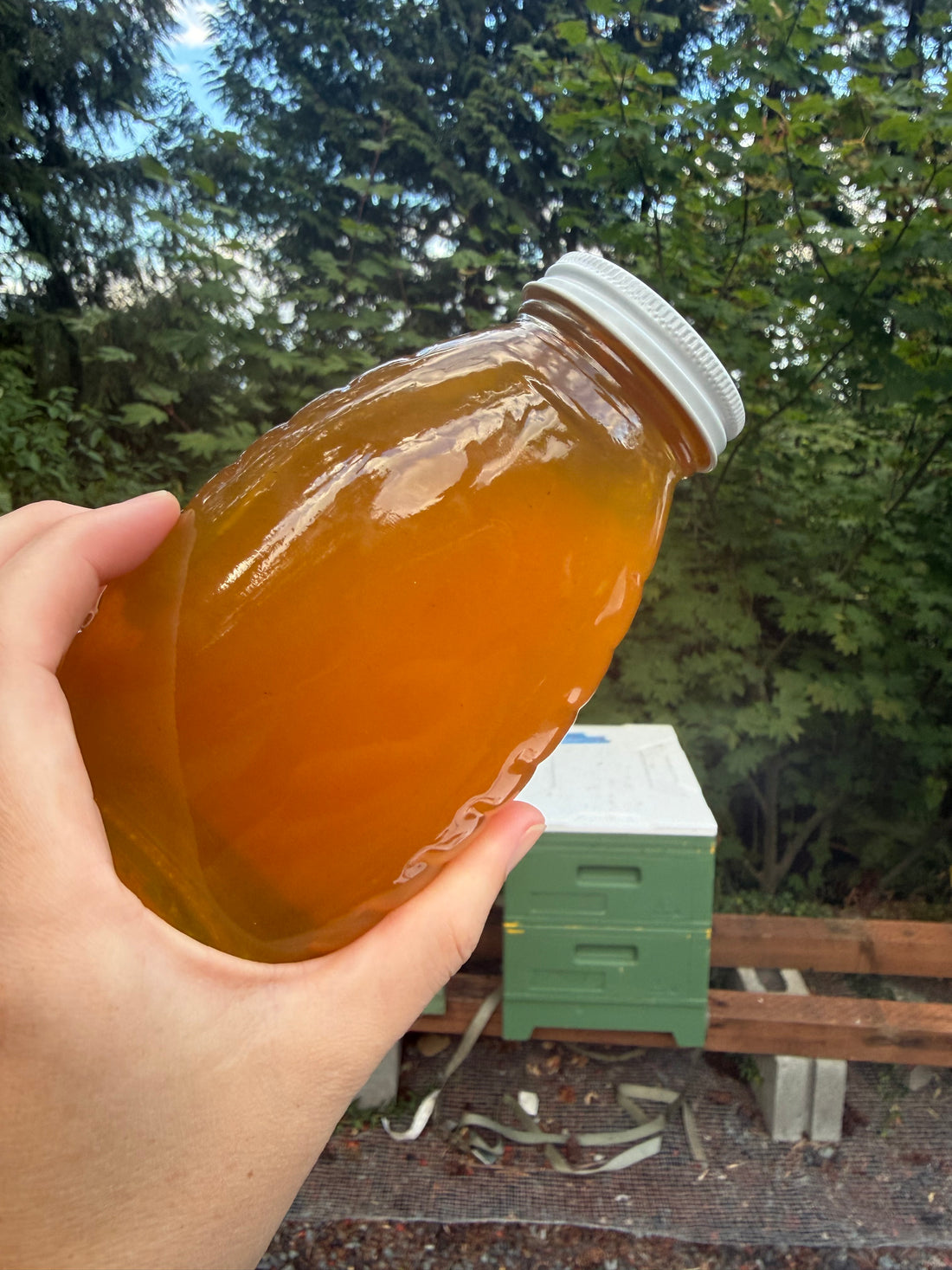 Crown Hill Neighborhood Honey