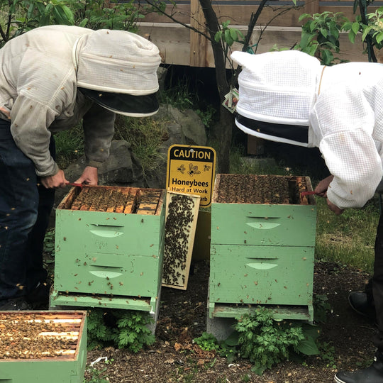 Full-time beekeeping