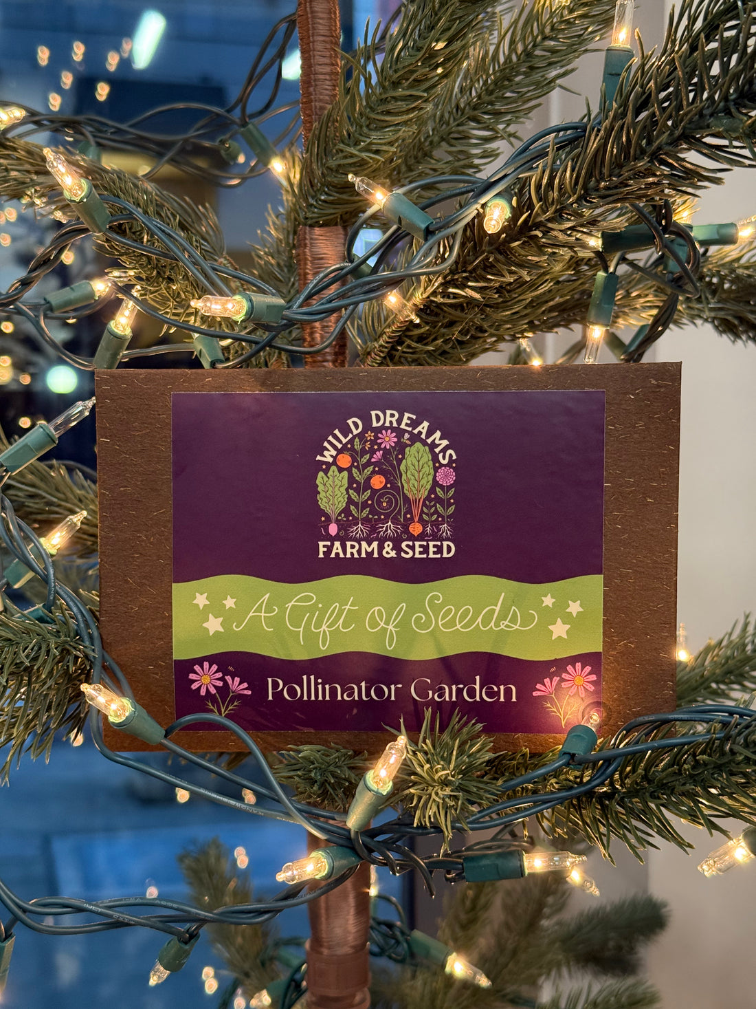 Wild Dreams Seed Gift Set