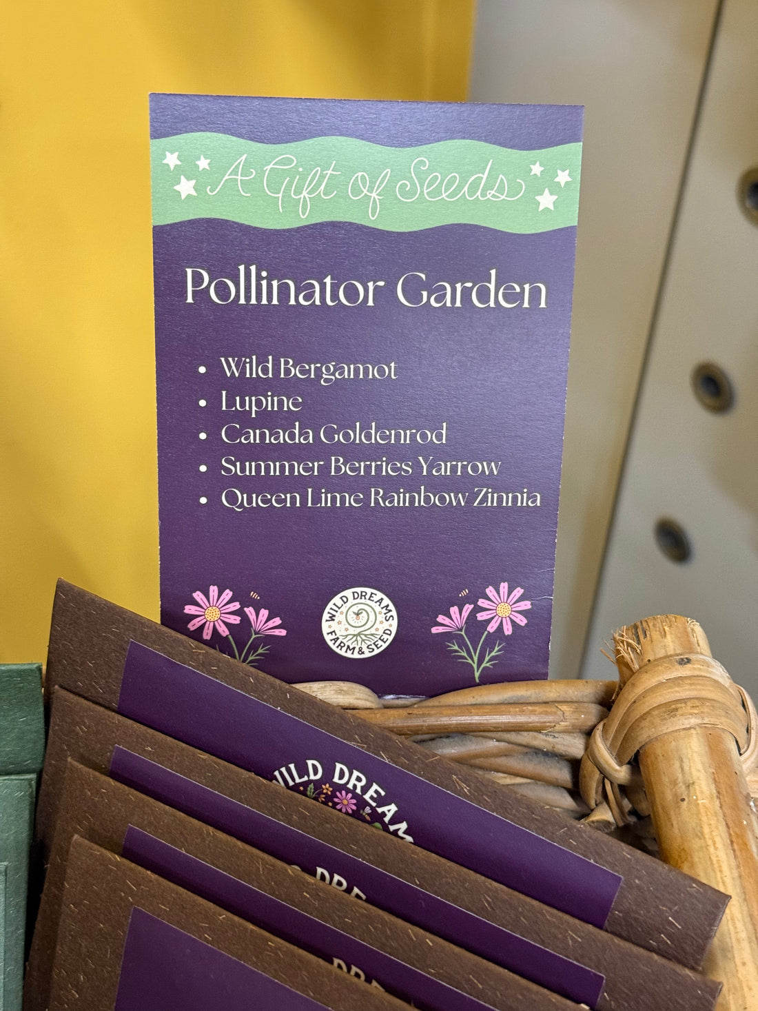 Wild Dreams Seed Gift Set