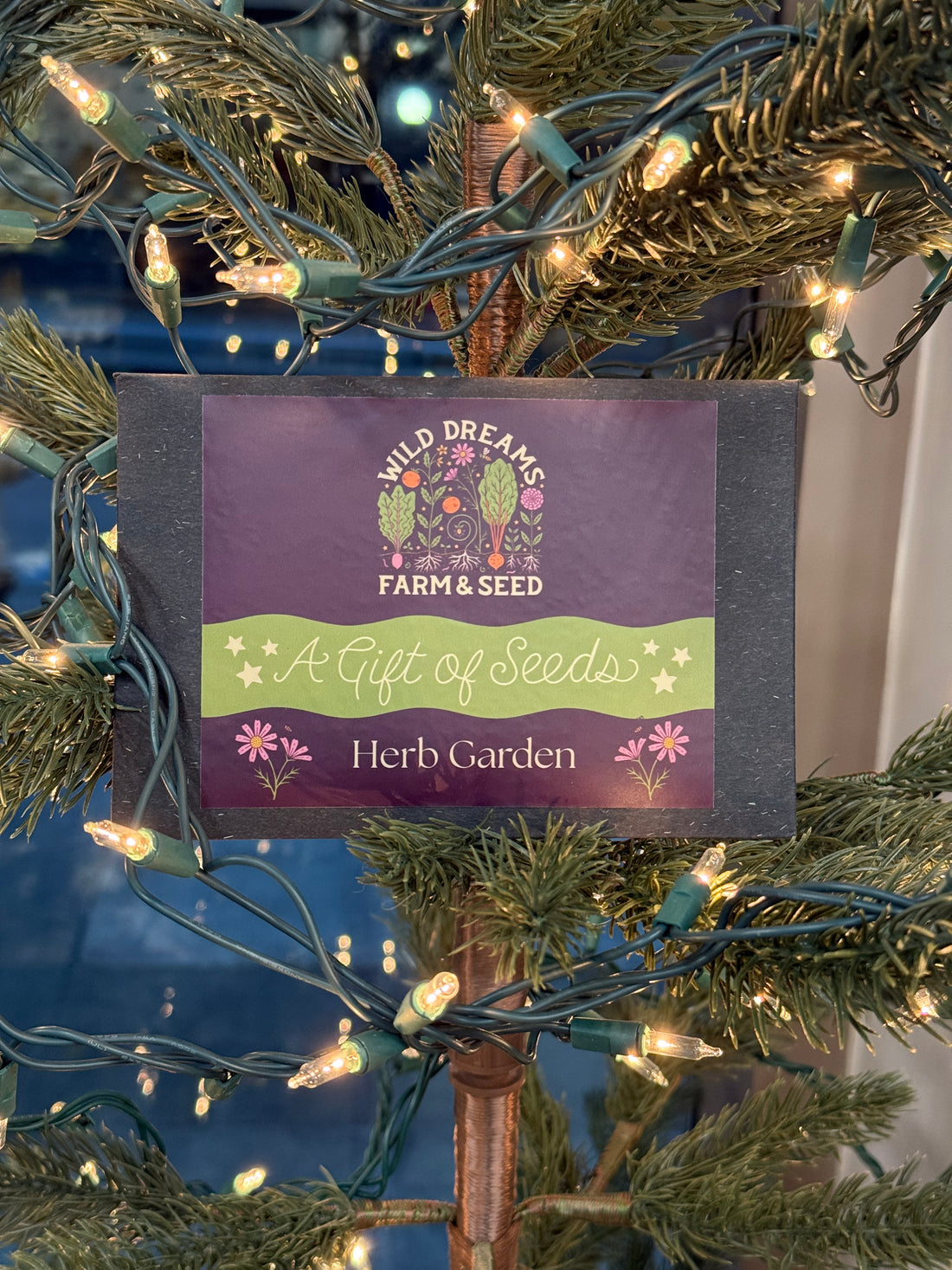 Wild Dreams Seed Gift Set