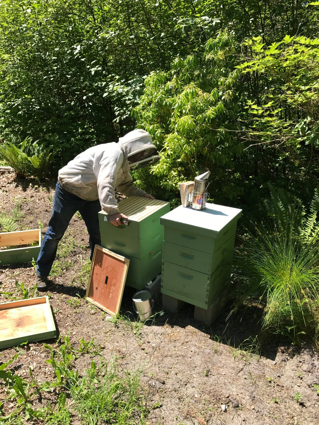 Residential Hive Sponsorship