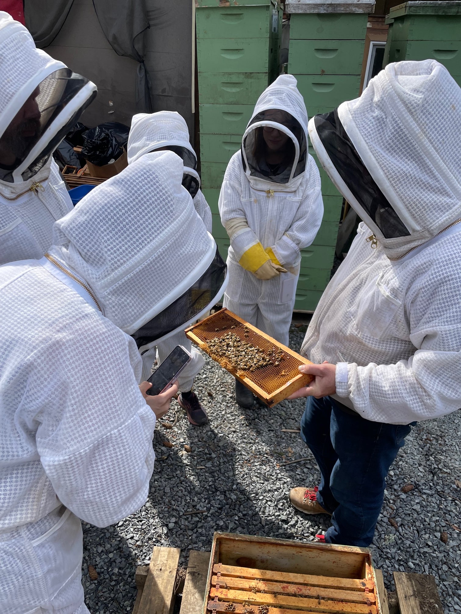 Private Beekeeping Experience – Rainy Day Bees
