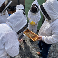 Private Beekeeping Experience