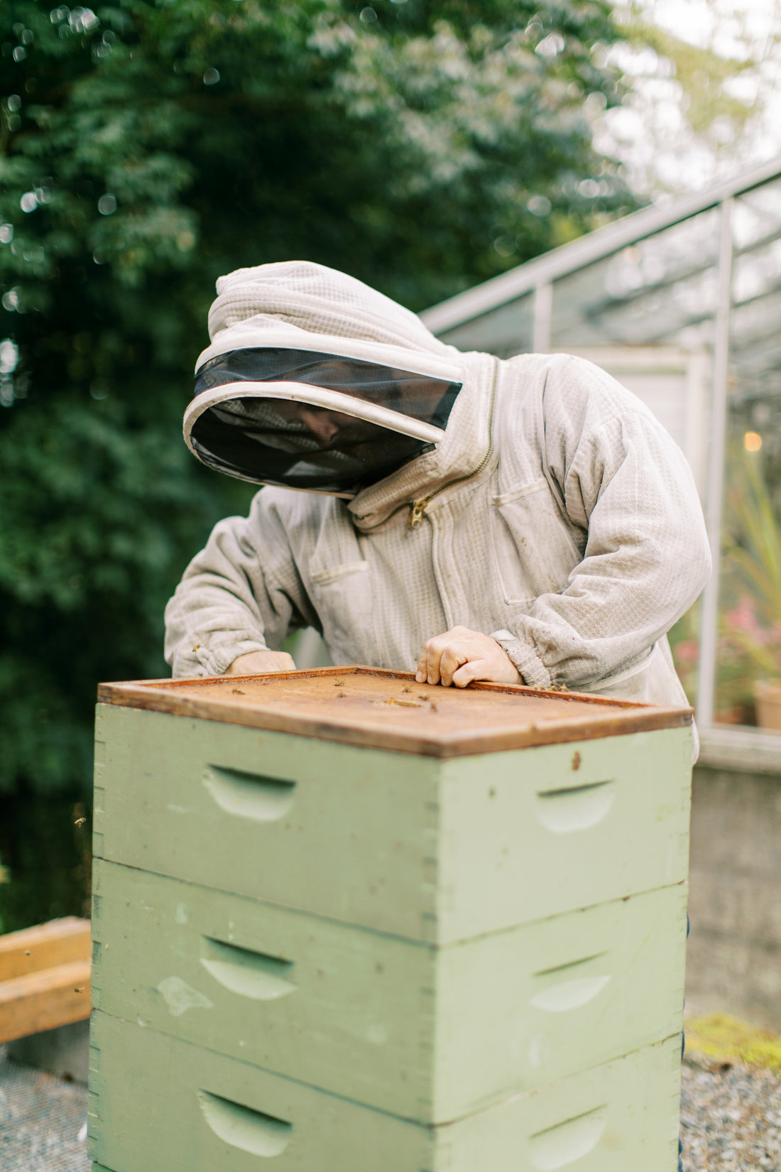 Residential Hive Sponsorship