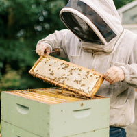 New Beekeeper's Package