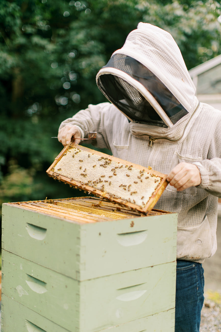 New Beekeeper's Package