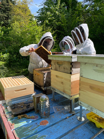 Candles and Wax Products, Handmade in Seattle – Rainy Day Bees