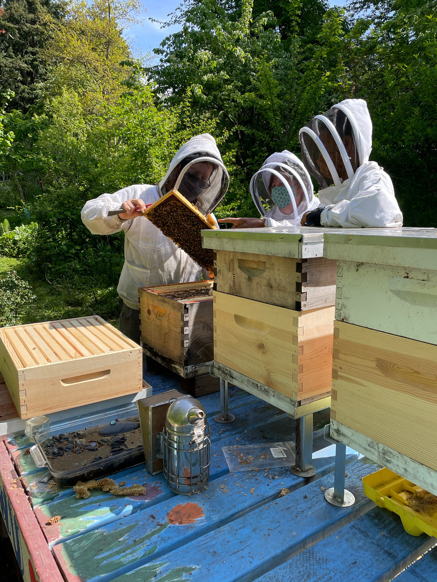 Efficient and Effective Inspections - Beekeeping Class